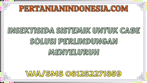 Insektisida Sistemik Untuk Cabe Solusi Perlindungan Menyeluruh